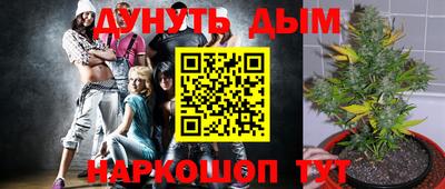 прущие грибы Берёзовский
