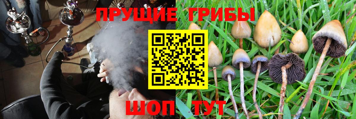 Галлюциногенные грибы MAGIC MUSHROOMS  Вход с VPN  Галлюциногенные грибы MAGIC MUSHROOMS  Воркута 